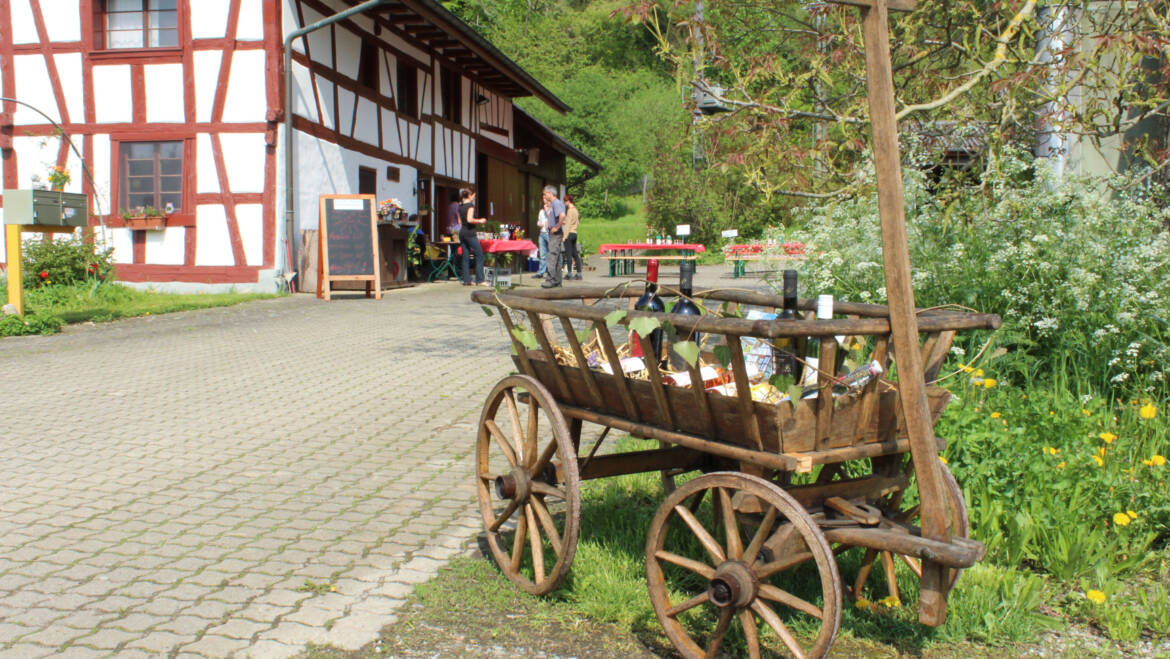 Wein und Grill So. 11.06.2023